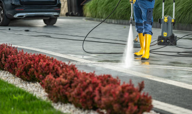 Best Driveway Pressure Washing  in Oak Hill, OH
