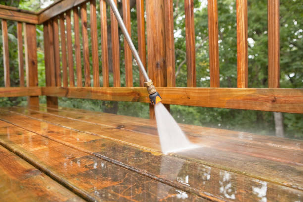 Best Pre-Holiday Cleaning  in Oak Hill, OH